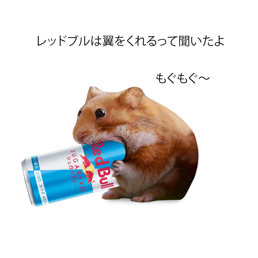 nomnom_hamu's tweet photo. 🐹🔴🐂

#ハムスター https://t.co/RexU9igg1q