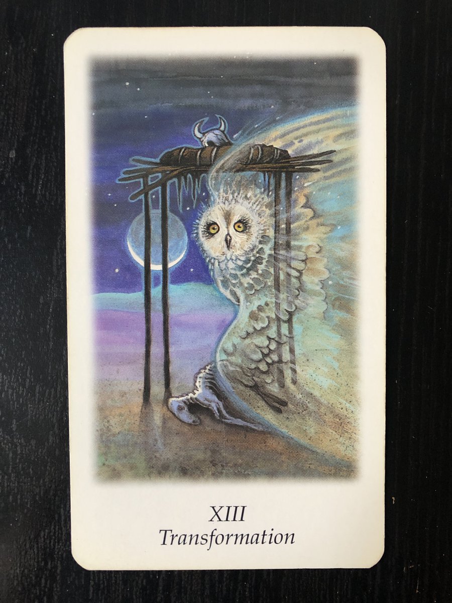 Carneiro: A Morte
Deixar ir embora aquilo que já não nos serve é uma arte, mas não quer dizer que seja propriamente fácil. No fundo sabias bem que esta mudança era inevitável, só não estavas a contar que custasse tanto. Não resistas e verás que tudo está a acontecer a teu favor.