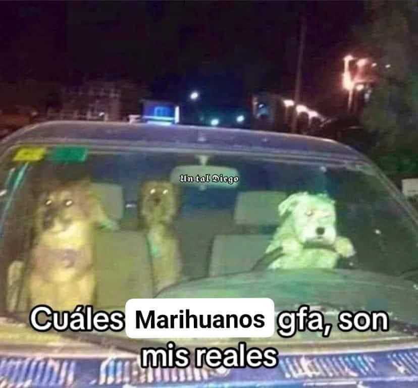 Estación 420 (@420estacion) on Twitter photo 