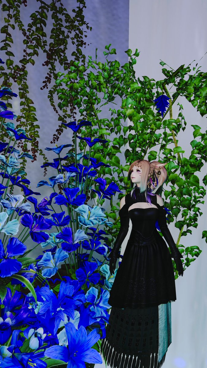 かめ⌘🦄 tweet media