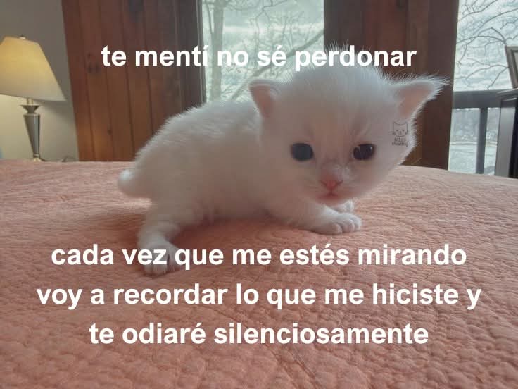 Ojos color sol (@ojoscol0rsol) on Twitter photo 