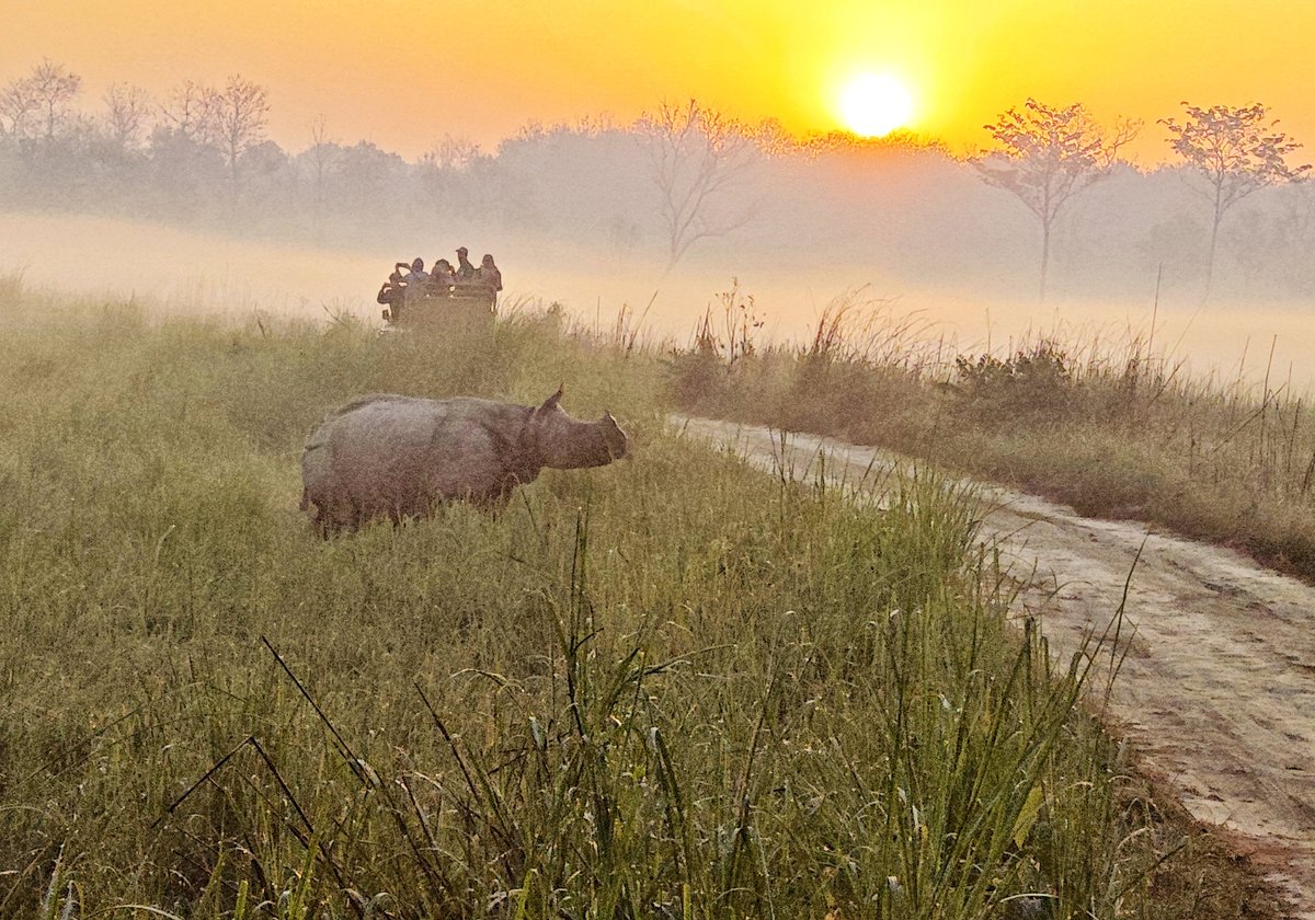 parishjoshi's tweet image. Captured on my #mobile yesterday — a #OneHornedRhino framed against a serene sunrise, with soft morning haze blending into the backdrop at Dudhwa
@DudhwaTR @rameshpandeyifs @skumarias02 @UpforestUp @uptourismgov @savetherhino @raju2179 @VaibhavSinghIFS @pargaien @DudhwaParkIndia