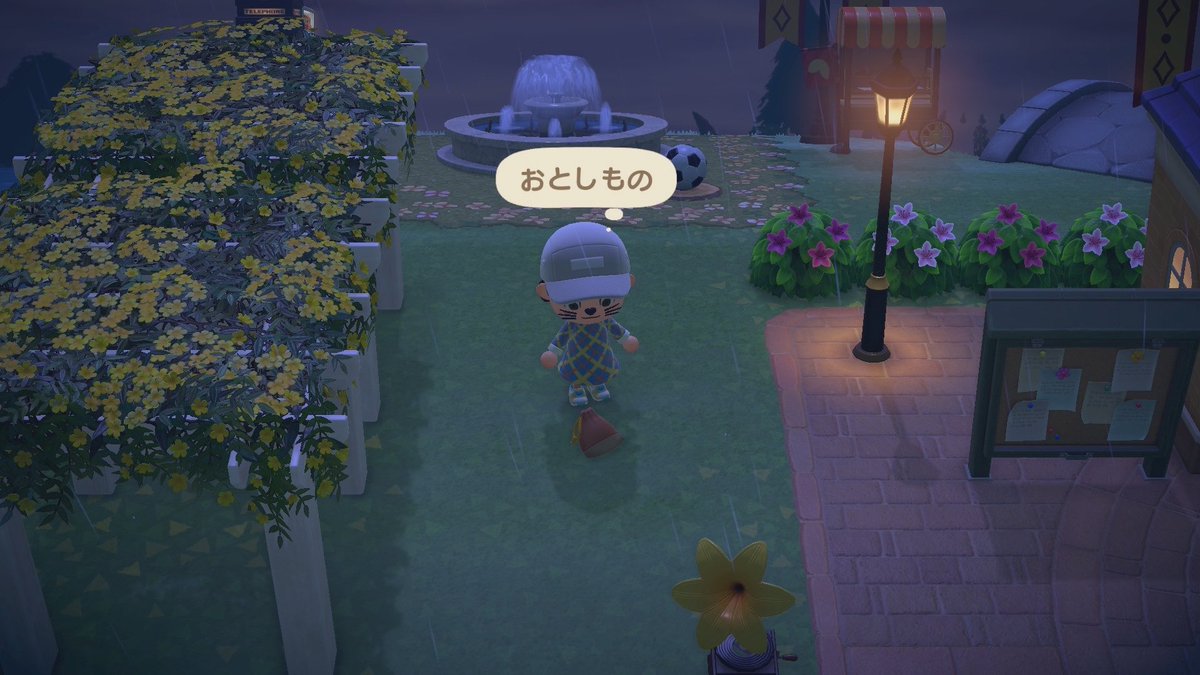 ぴろた🐈🐈‍⬛🐈‍⬛🐾 tweet media