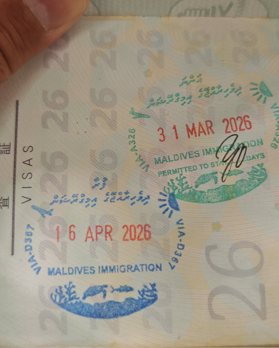 サムソン高橋 tweet media