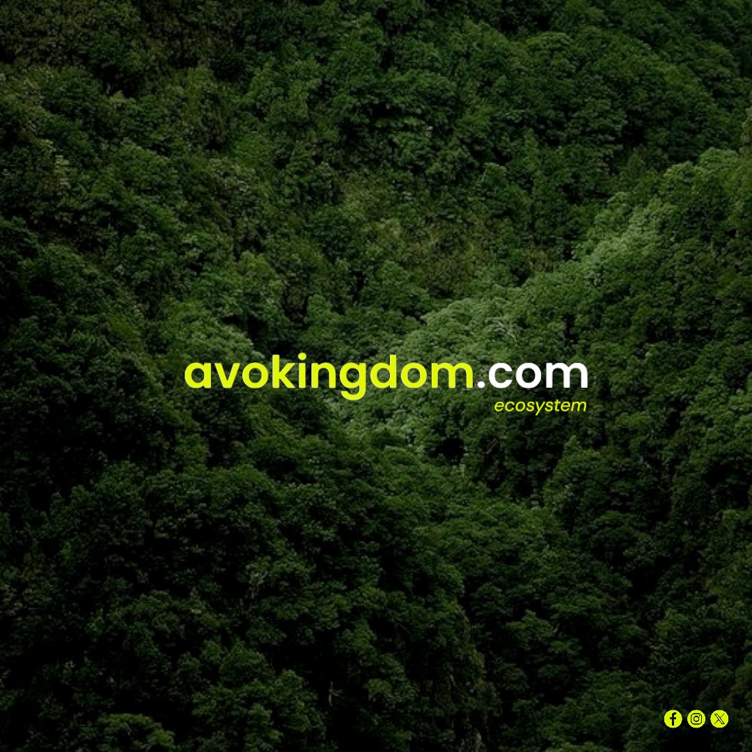 Avokingdom_S's tweet image. Somos un ecosistema que impulsa, conecta y optimiza la cadena del aguacate.

La digitalización de la industria está en Avokingdom. 🚀

#AvoLovers #KeepItSimple #AgTech #Tecnología #Avocado #Sustainable #GreenRevolution #GreenTech #GreenLove #Innovación #Avokingdom 🥑