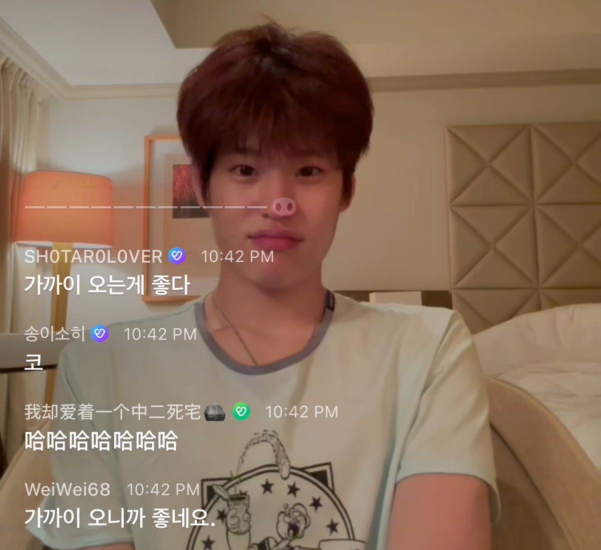 babymeoww tweet media