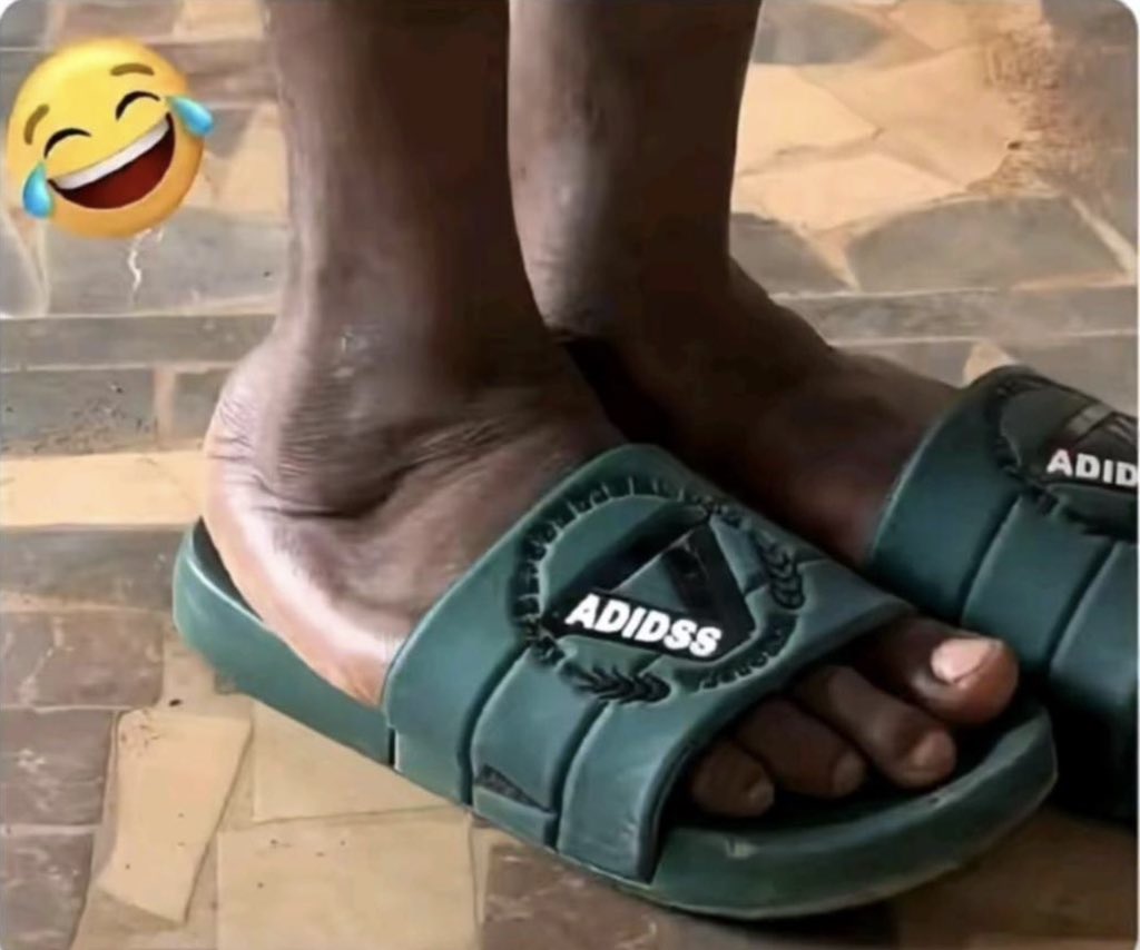 Jenny Fa tweet media