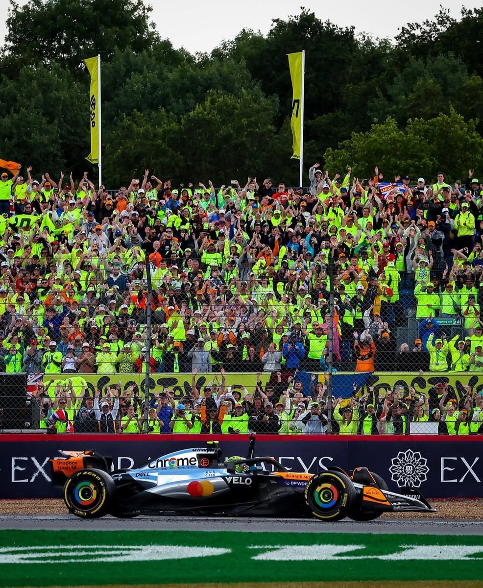 norstappen archives. tweet media