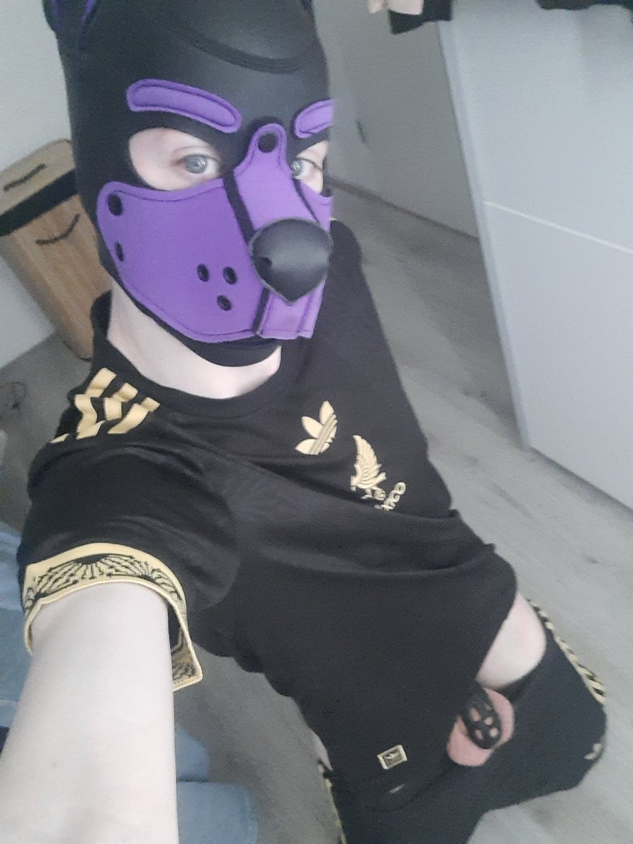 PupChaos85's tweet photo. Need someone to use me fr https://t.co/thHHtNwpCi