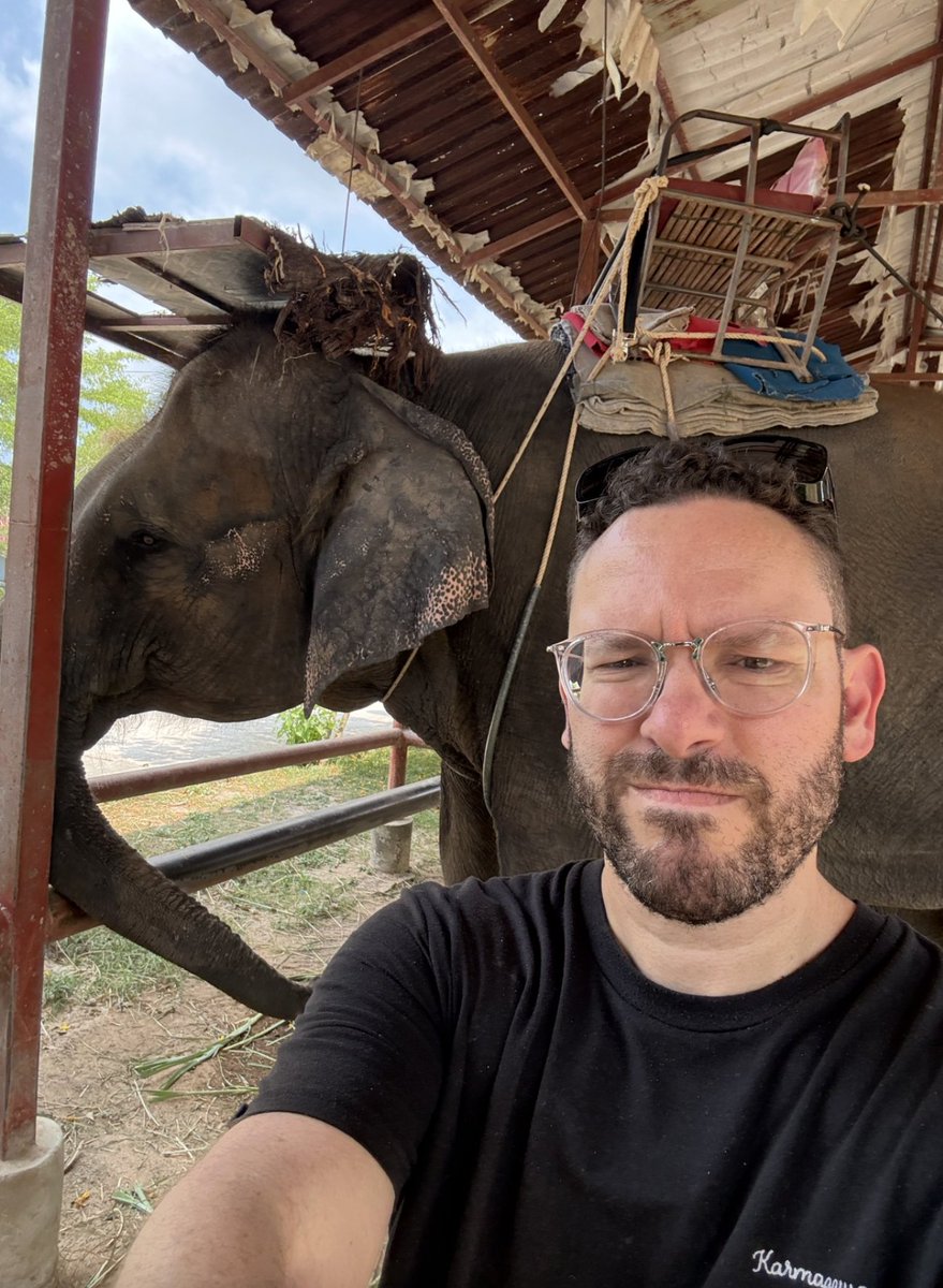 Timothy Sykes tweet media