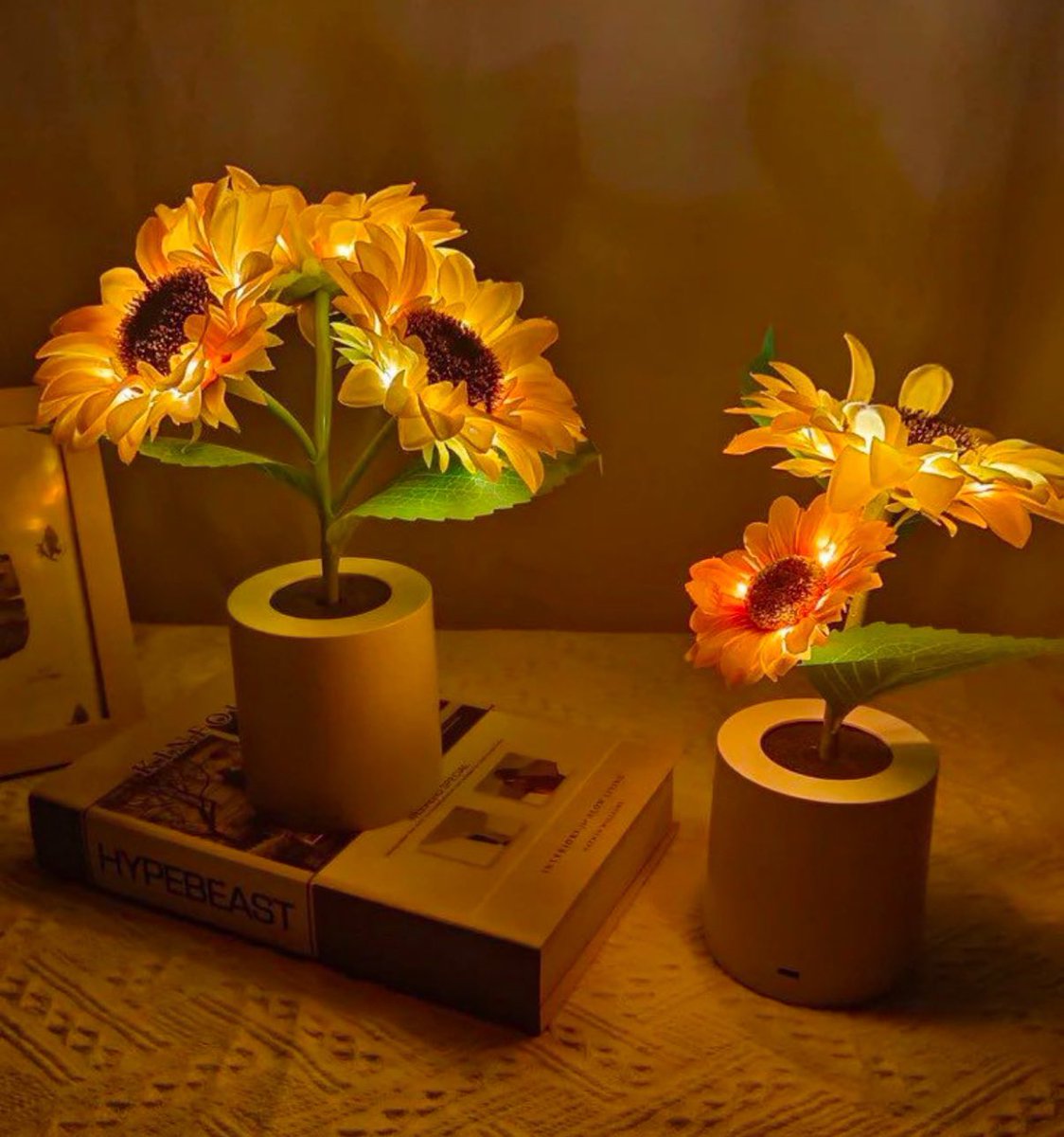sunflowerchives's tweet photo. Favorite night lamp https://t.co/BMnhGSRGGy