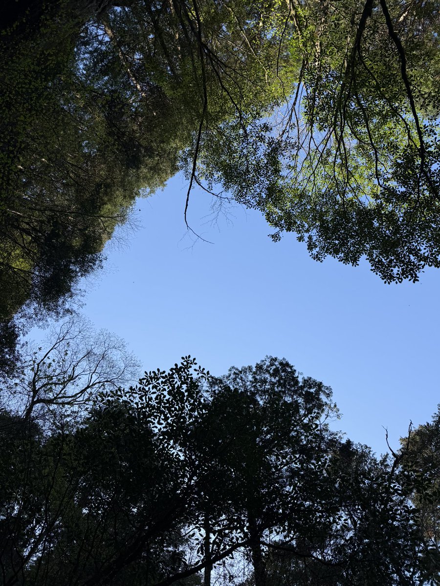 ちいた🦦 tweet media