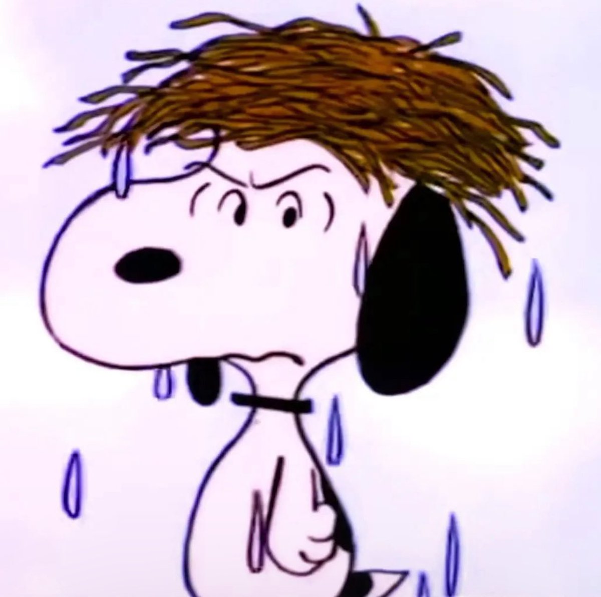 Entré a un juzgado escurriendome el pelo tal y como si lo estuviera escurriendo a la salida de la ducha. Y me atrevo a decir que salió más agua en que en ese contexto.