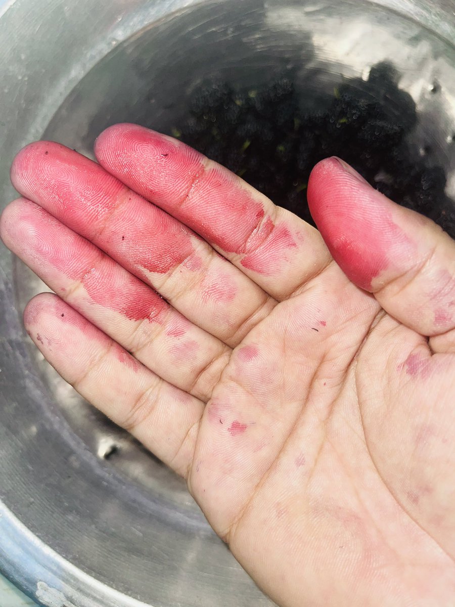 E.coli 🦠 tweet media