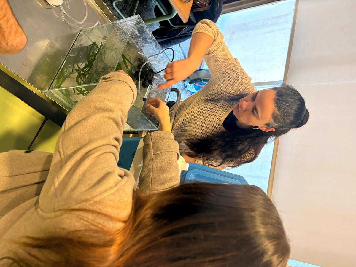 MED_Artemis's tweet photo. We're taking action by fostering dialogue across communities in Menorca | Spain.
Through a serie of local activities and exchanges with our partner @IMEMenorca, we’ve engaged youth and deepened their understanding of the importance of seagrasses like Posidonia oceanica LINK 👇 https://t.co/oXsnxWluxB