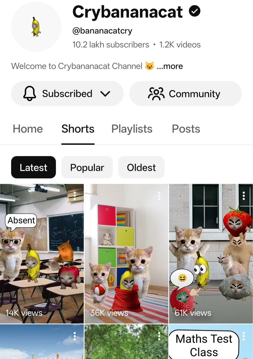 Meowbananacat's tweet photo. "Day 108 since suspension from YPP"
Dear @TeamYouTube

I’ve made major changes to my channel to address the “inauthentic content” concern:
1.Removed all long compilation videos
2. Deleted 400–500 Shorts including the most popular ones
3. Updated titles & descriptions to avoid repetition

I almost killed my channel reach & still rejected after Reapplying for YPP

I’ve been creating original content for 3+ years and I’m actively improving.

Fellow creators of my niche are also monetized again!

@TeamYouTube please consider a proper human, in-depth review of my channel again 🙏

Channel Link:
https://t.co/ZkGsrdsbVw
