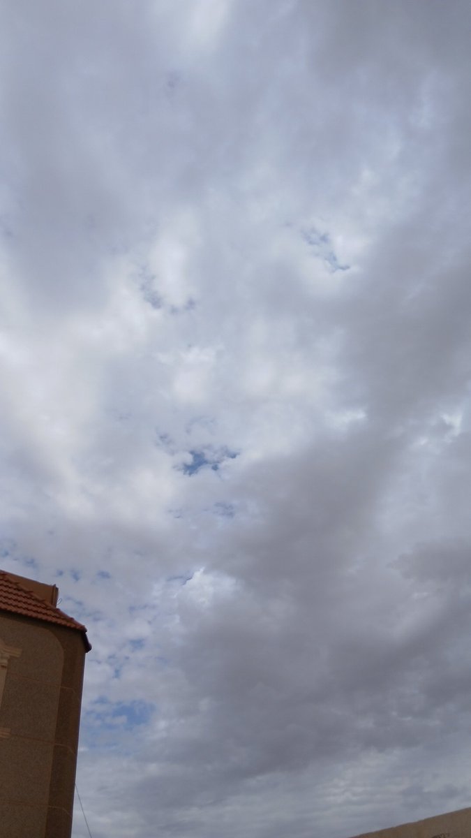 لمى عبدالله🇶🇦 tweet media