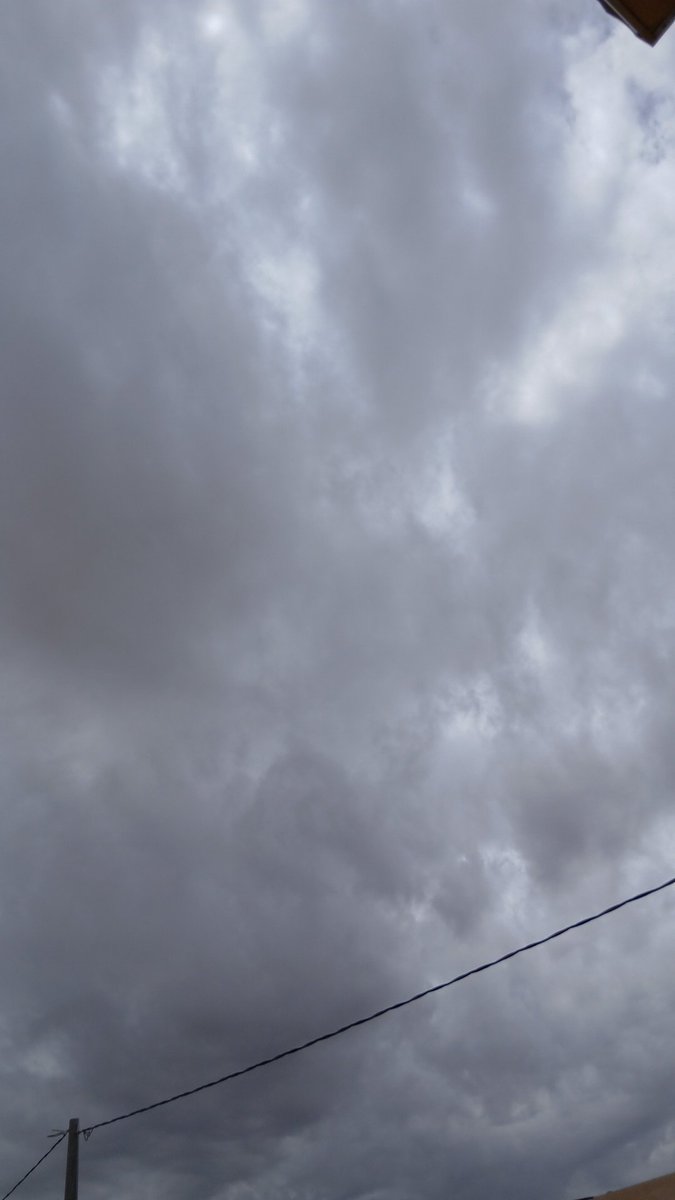 لمى عبدالله🇶🇦 tweet media