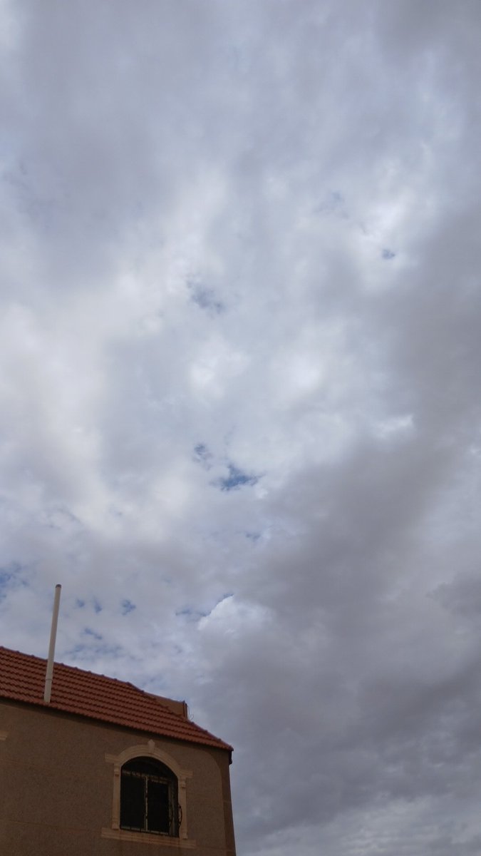 لمى عبدالله🇶🇦 tweet media