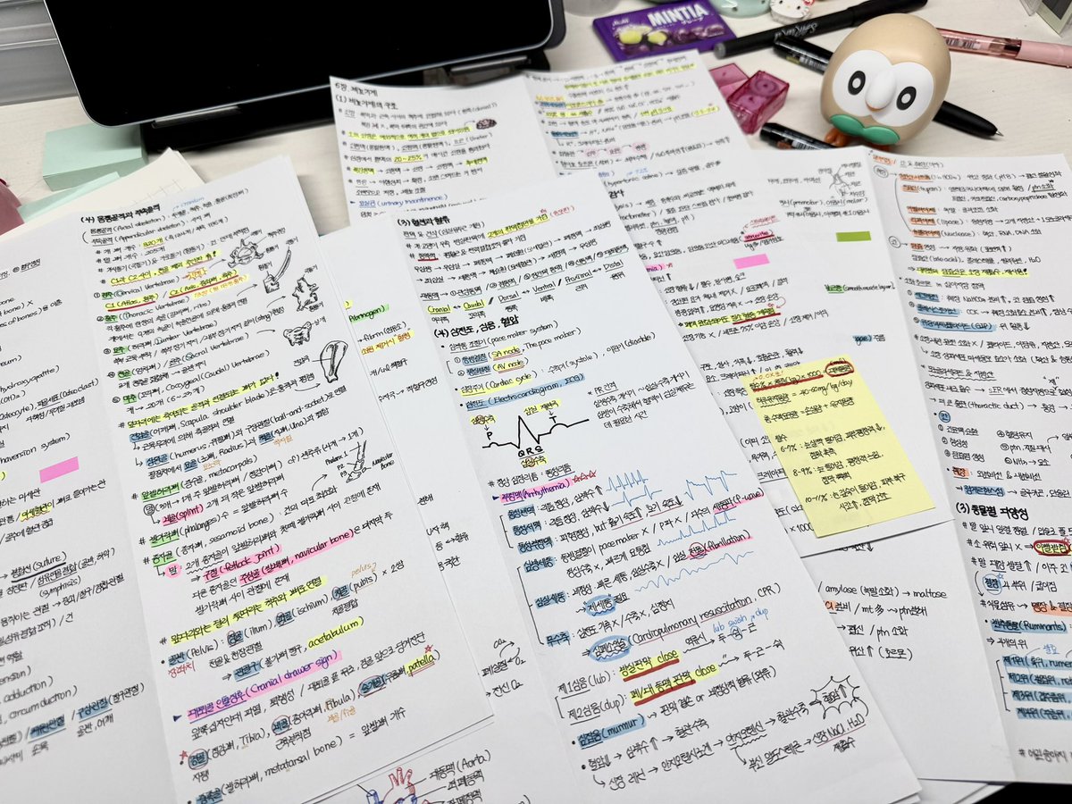 한석봉 tweet media