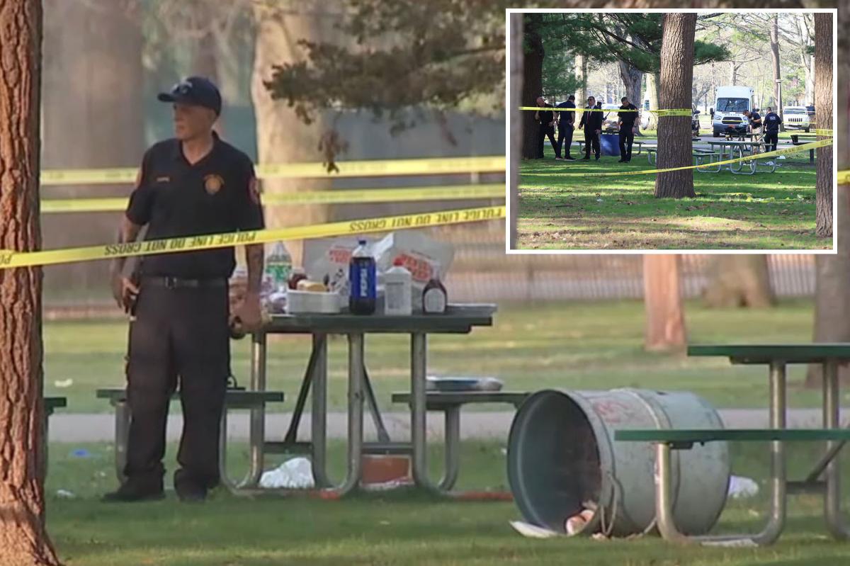 Bloods gang BBQ on Long Island erupts into deadly teen gun fight ...