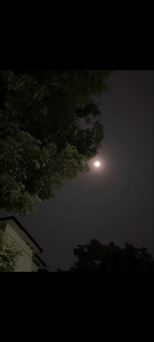 Teju_006's tweet photo. रात-रात भर पढ़ते रहे ताकी, उसको खुश रख सके ,
मगर...
उन्हीं रातों में उसने किसी और के साथ खुश रहना सिख लिया।
B's u'hi 
#Myclicks 
🍂✨🌃 https://t.co/Tzt5PVLBLp