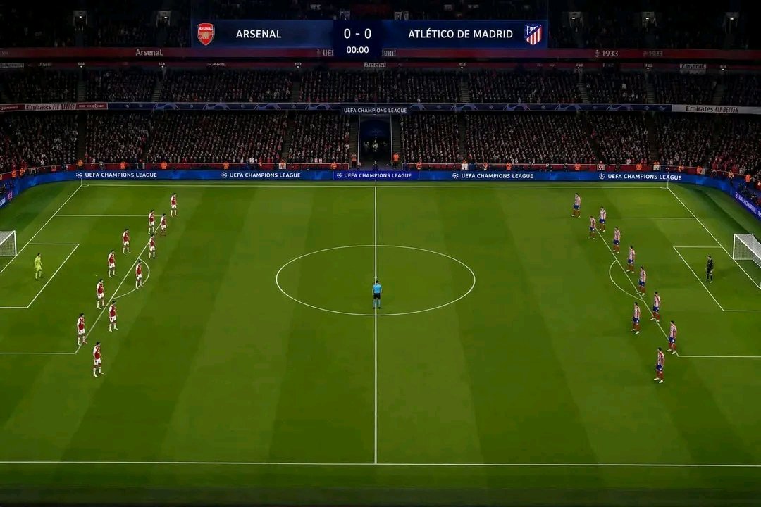 𝗭𝗮𝗵𝗿𝗶 𓃵 tweet media