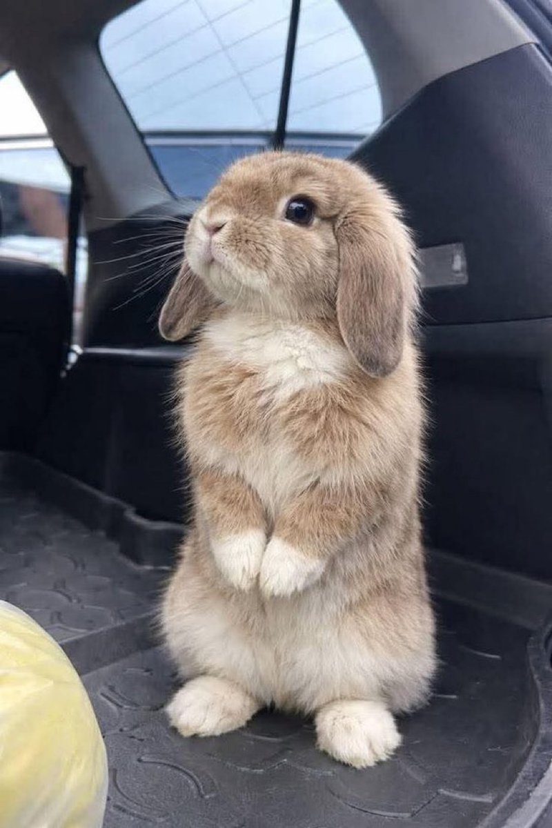 𝐌𝐚𝐭𝐭 𝐏𝐢𝐧𝐧𝐞𝐫 tweet media