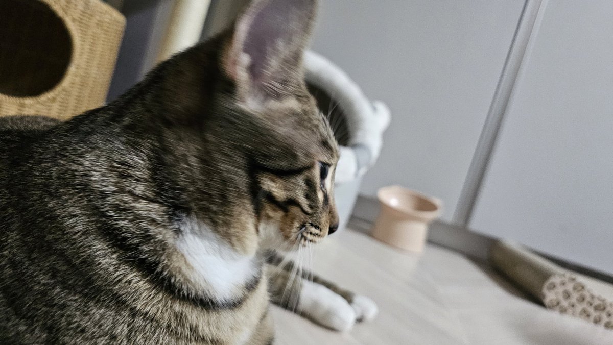 서사결.mk5(상태: 와FA린) tweet media