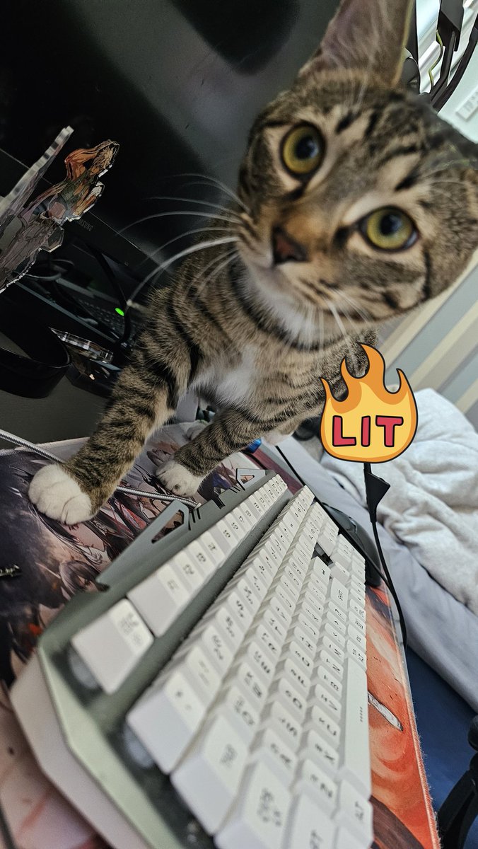 서사결.mk5(상태: 와FA린) tweet media