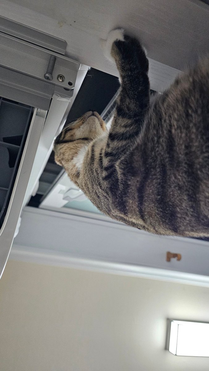 서사결.mk5(상태: 와FA린) tweet media