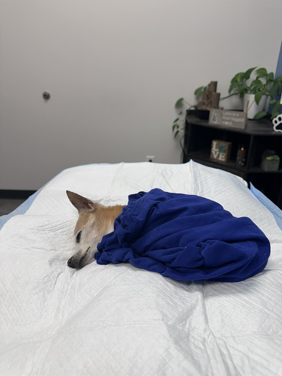 김회장❤️남가주테슬라협회🌟남가주인베스트멘트 CEO tweet media