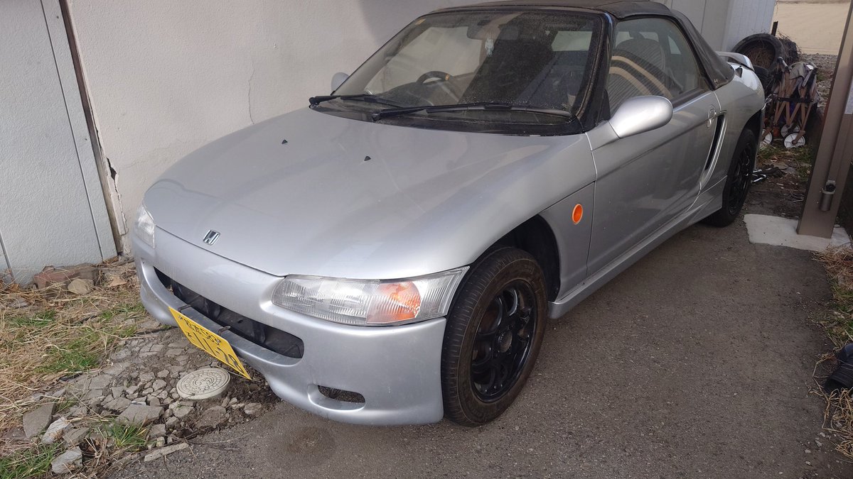 ﾀｯllison🦈 tweet media