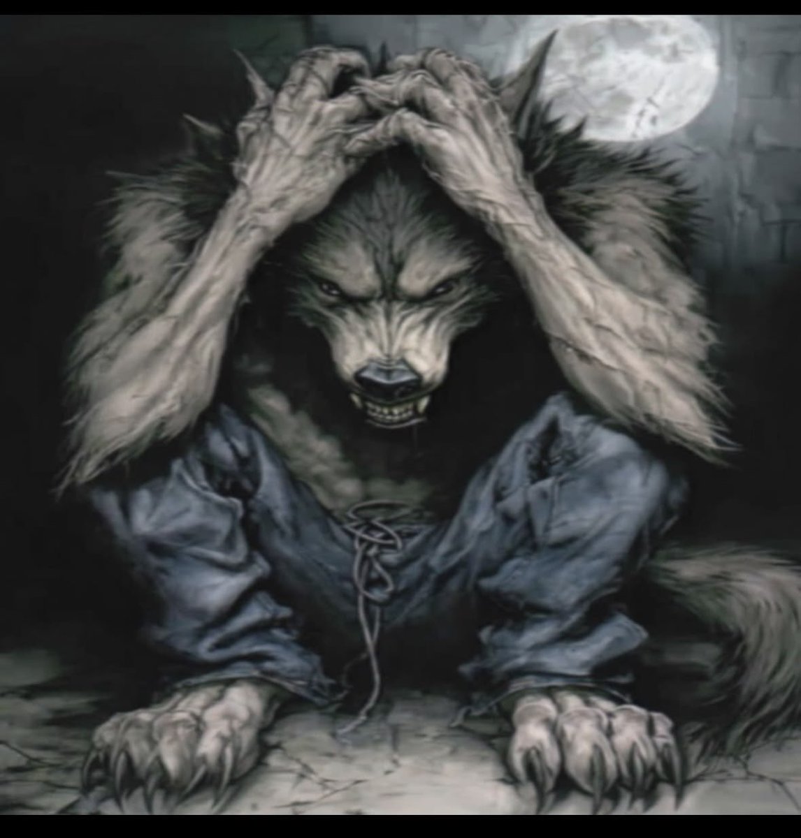 ⋆｡‧˚ʚɞ˚‧｡⋆𓇼𓏲*ੈ✩‧₊ tweet media