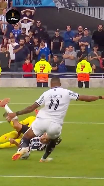 Bruno Fischer tweet media