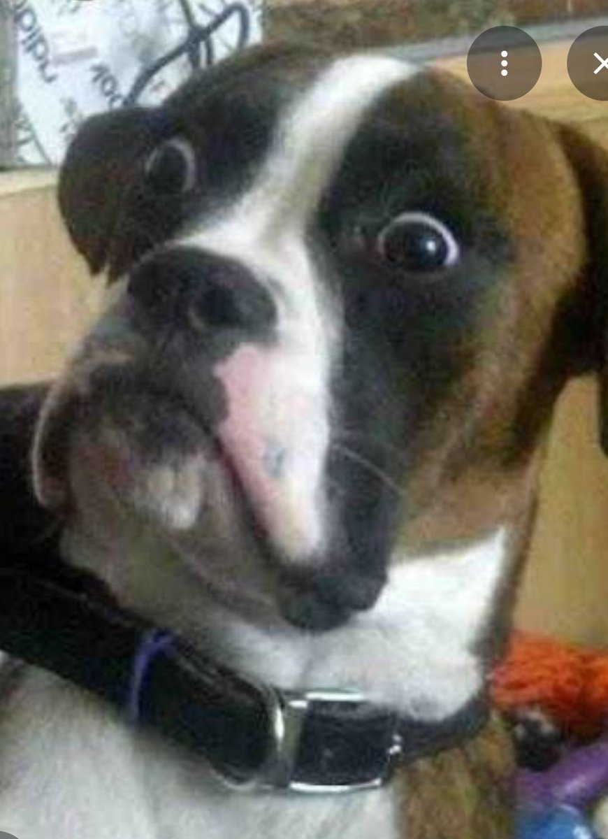 NotWokeInAz tweet media