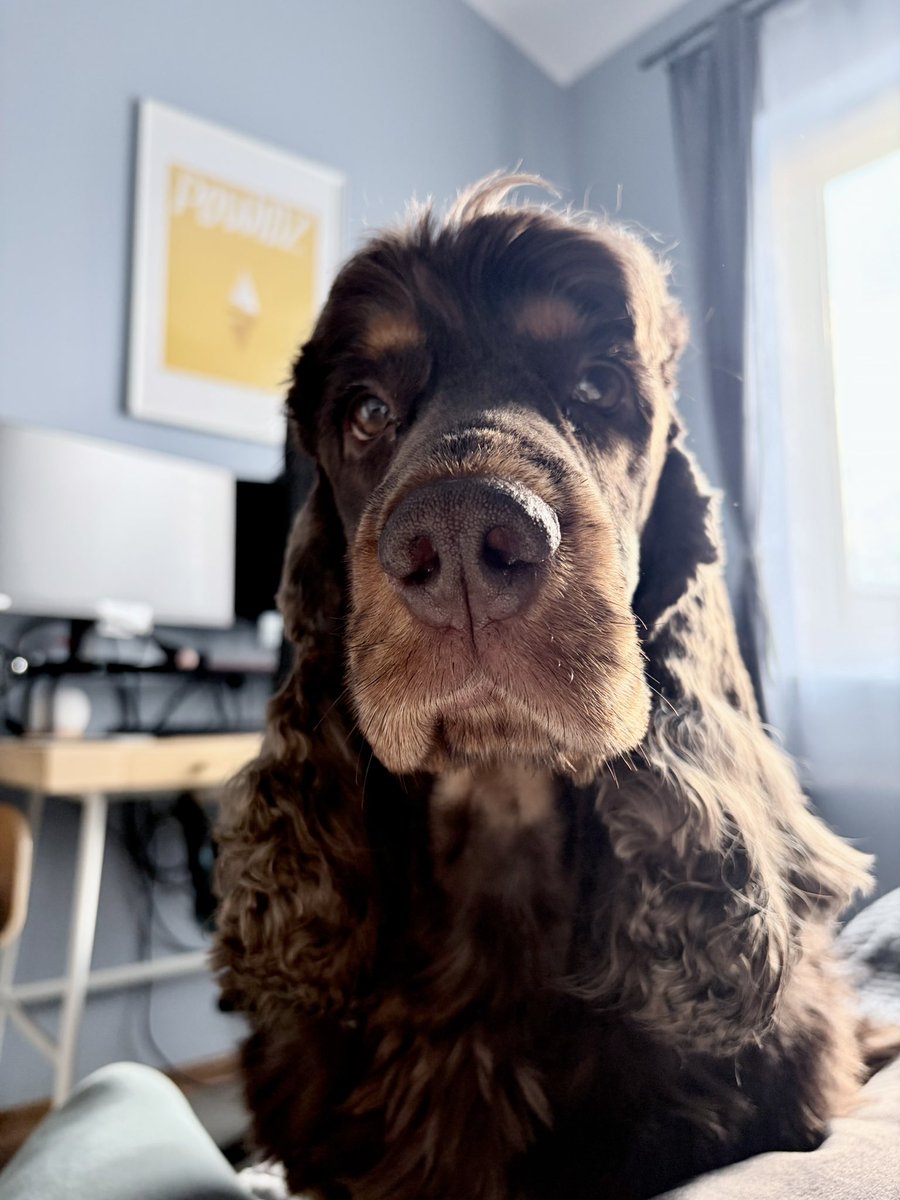 Magdalena Lewicka tweet media