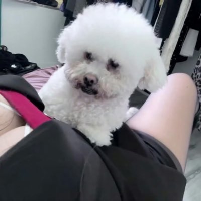 丘丘 tweet media