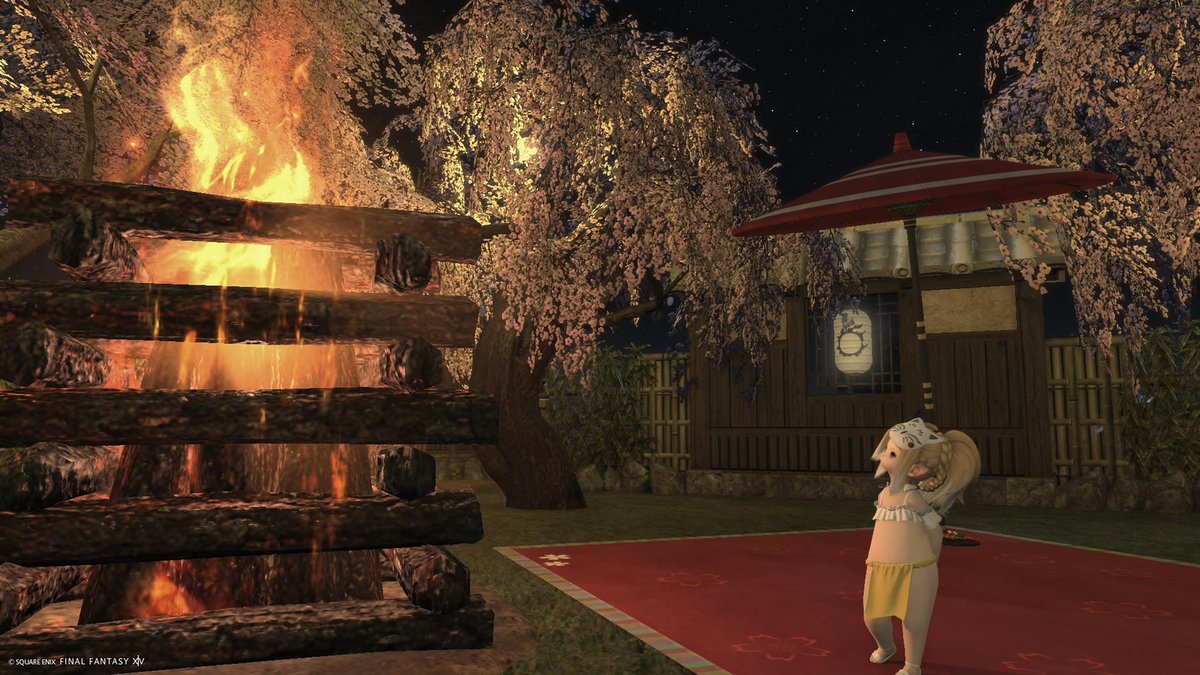 アナスタシア tweet media