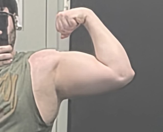 dimlightexpress tweet media