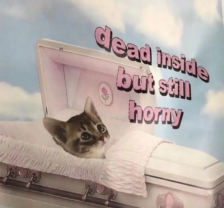 Punch Cat tweet media