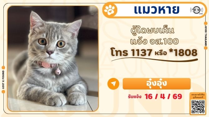 JS100Radio tweet media