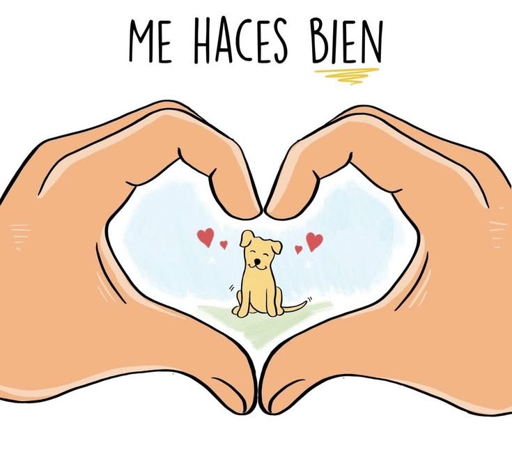 Maxi (@rey_latino33087) on Twitter photo 