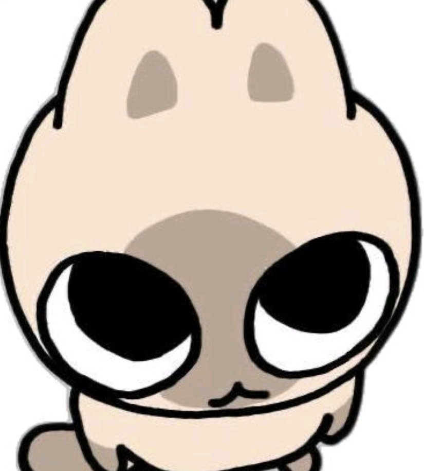 ᴅᴀʀᴇɴ tweet media