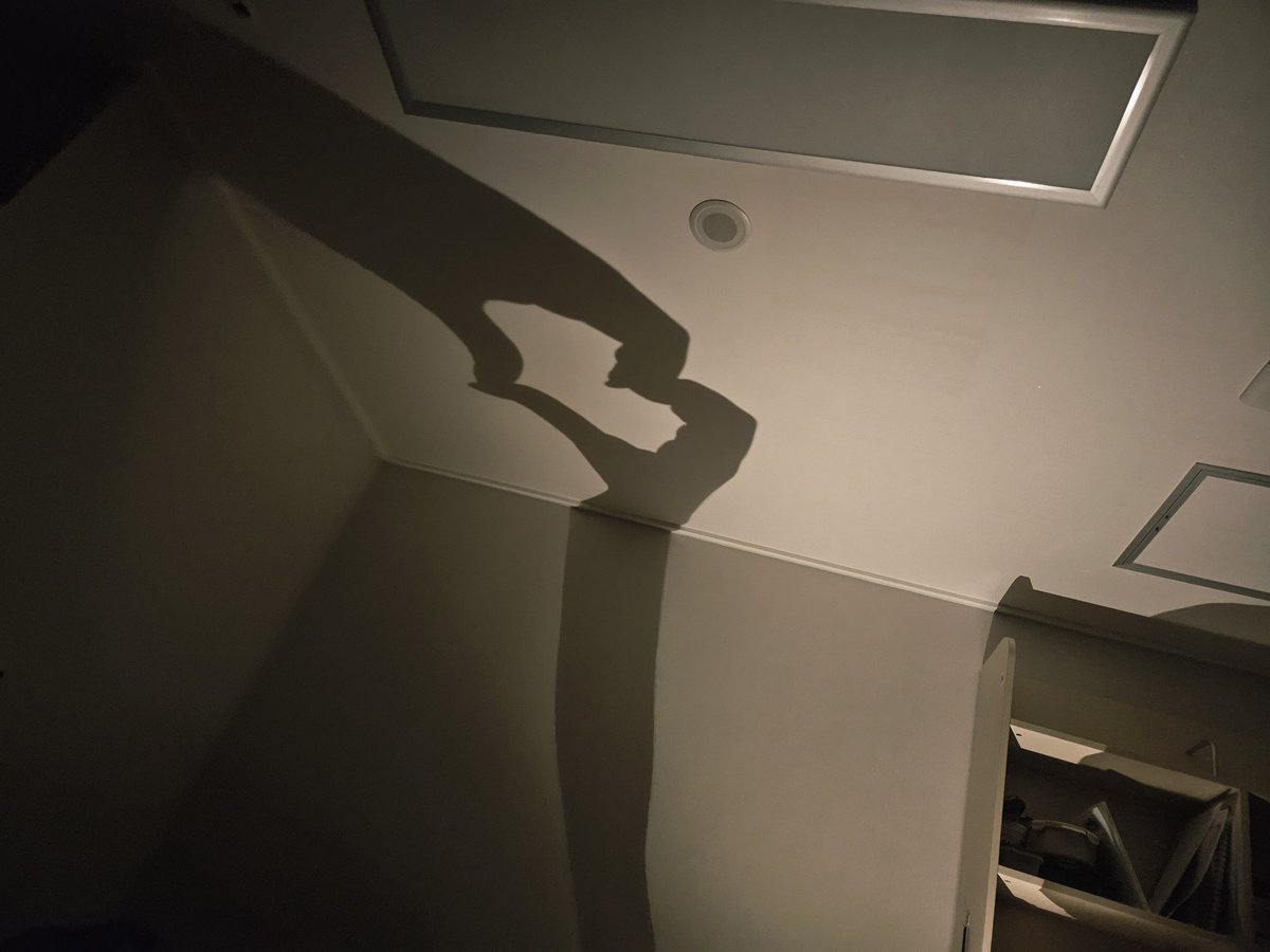 또러비 tweet media