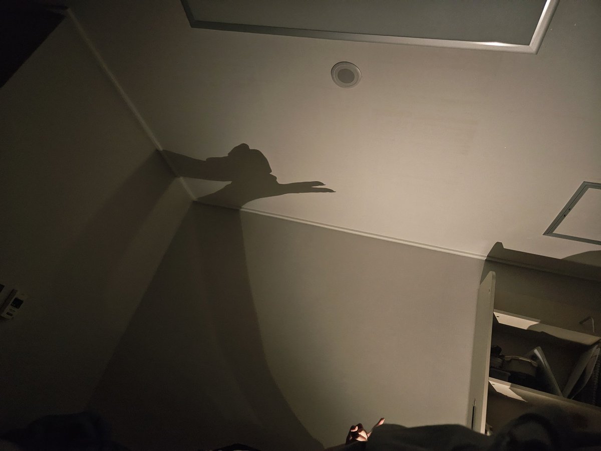 또러비 tweet media