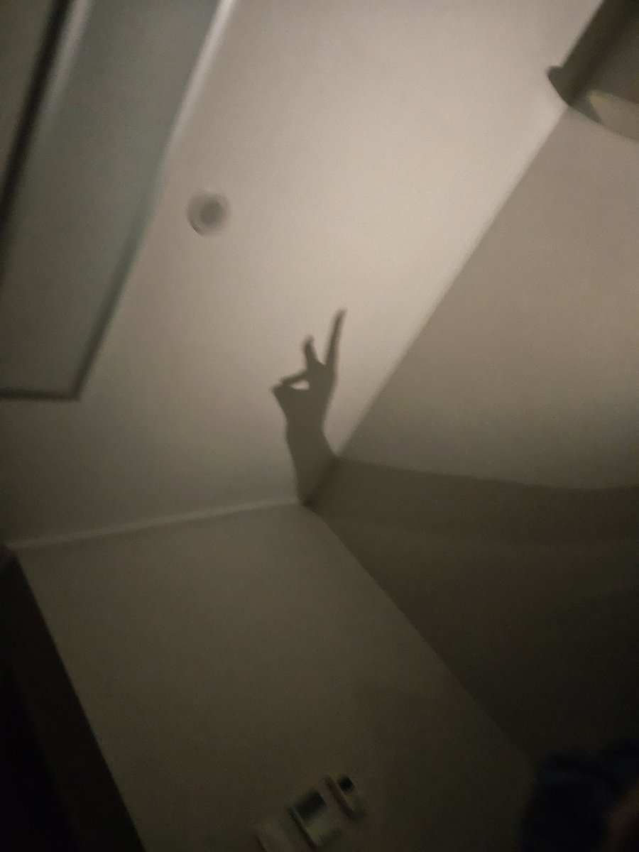 또러비 tweet media