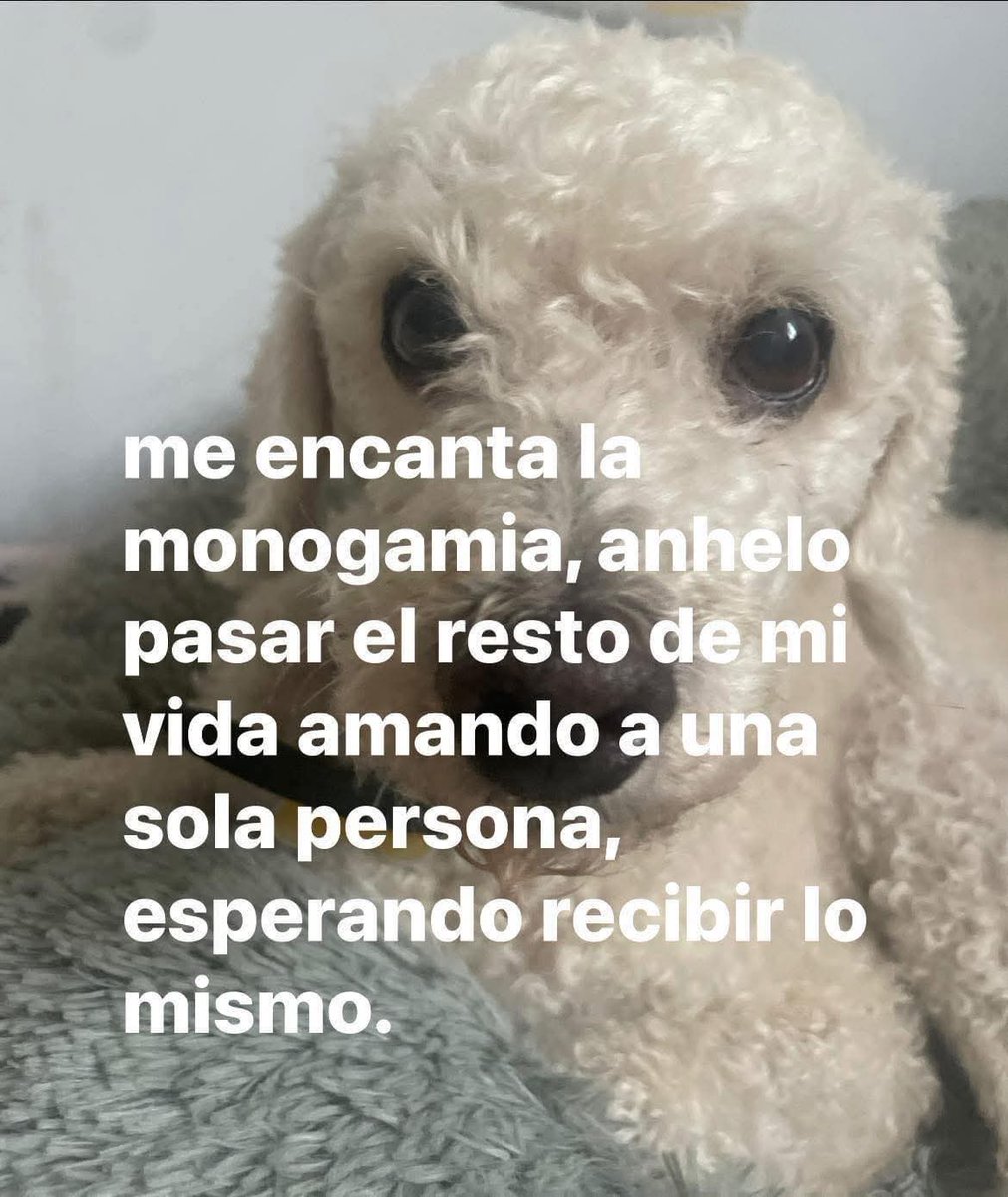 Ojos color sol tweet media