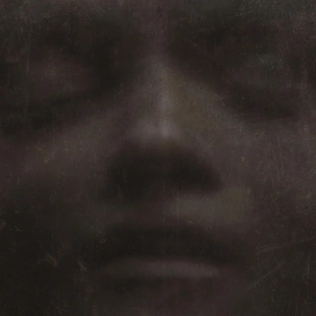 The Hollywood Handle tweet media