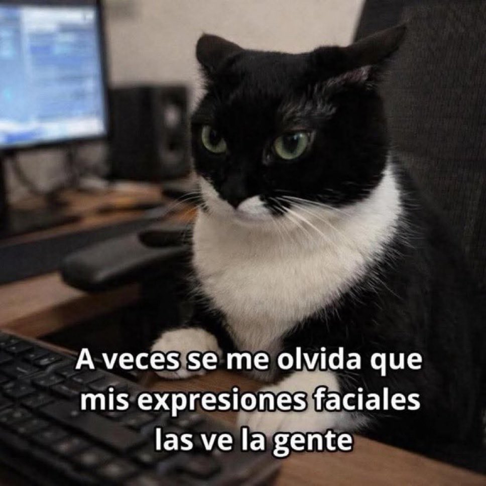 Fabiolacarolina tweet media